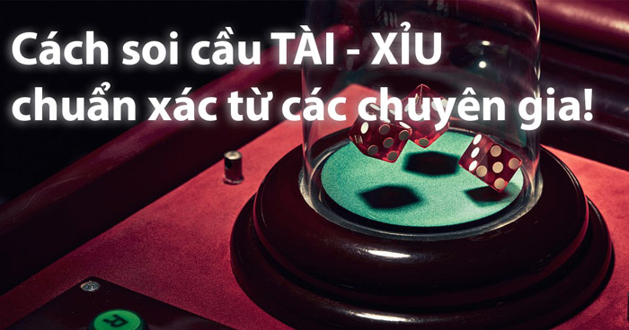 Tìm hiểu về các loại soi cầu tài xỉu - Cách soi cầu tài xỉu