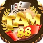 Tam88 Club