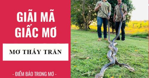 Nằm mơ thấy trăn là điềm lành hay dữ? Nên đánh con gì?