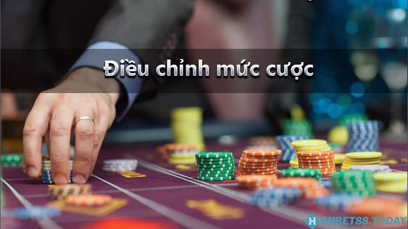 Điều chỉnh mức cược