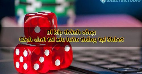 Bí kíp thành công – Cách chơi tài xỉu luôn thắng tại Shbet