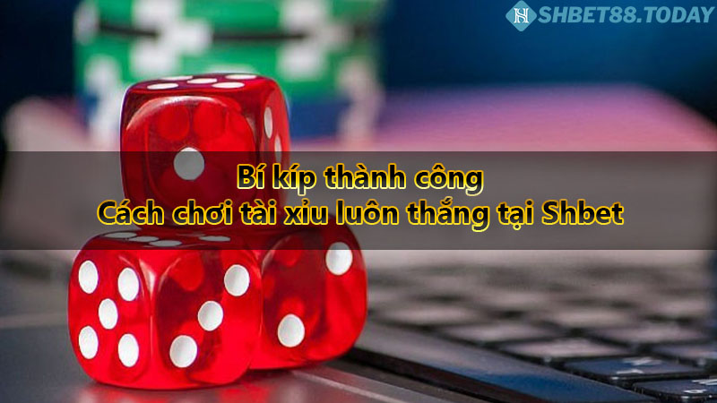 Bí kíp thành công - Cách chơi tài xỉu luôn thắng tại Shbet