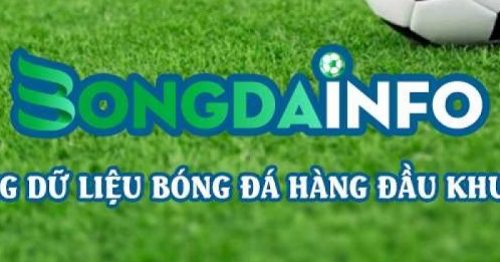 Bongda info – Soi kèo bóng đá, cập nhật tin tức thể thao uy tín nhanh chóng