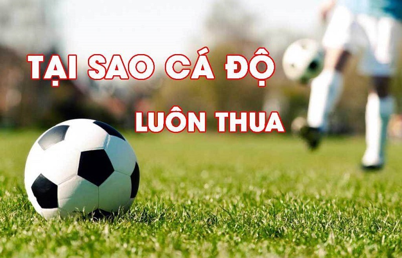 TOP những lý do tại sao cá độ bóng đá luôn thua