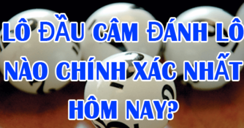 Khái niệm đầu lô câm là gì? Cách sử dụng đầu lô câm chuẩn