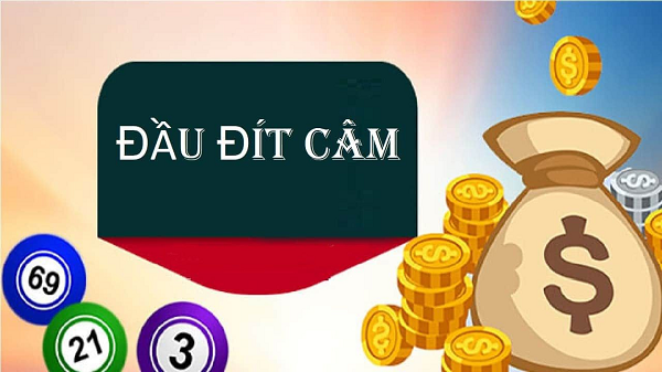 Lô đầu câm đánh con gì dựa vào soi cầu