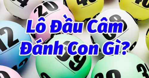 Lô đầu câm đánh con gì giúp phát tài phát lộc?