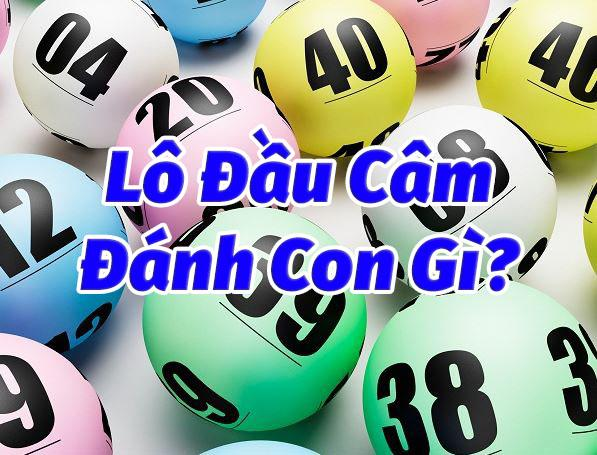 Kinh nghiệm chơi lô đầu câm đánh con gì chuẩn nhất